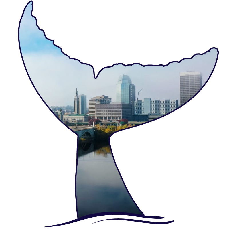 BlueWhale